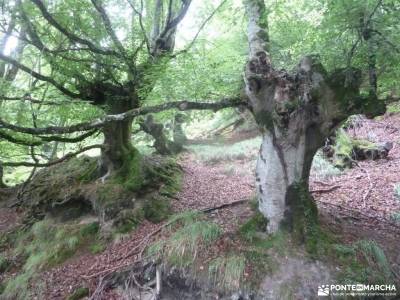 Parque Natural de Urkiola;viajes tajo cañon de caracena rutas de senderismo en huelva senderismo cu